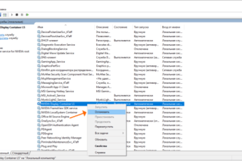 Сервис NVIDIA Display Container LS